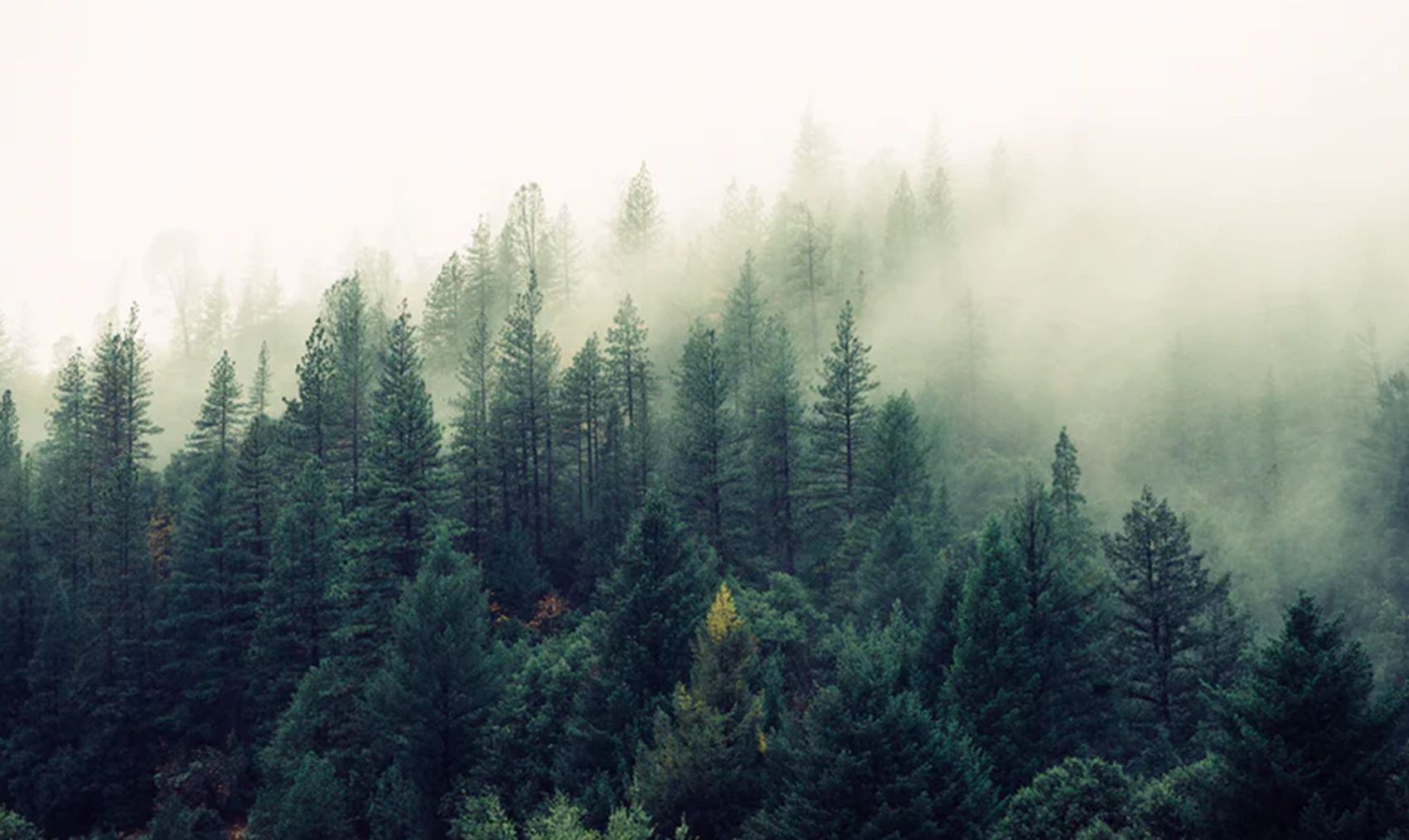 Lorem ipsum dolor sit amet 2